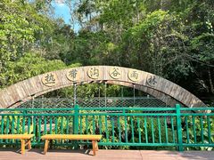 -西双版纳原始森林公园