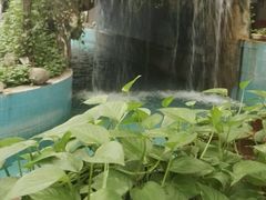 -龙脉温泉室内游泳馆