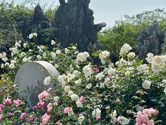 -人民公园(罗湖区)