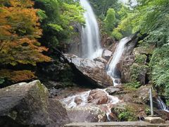-大围山国家森林公园