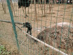 -洛阳马蹄泉旅游度假村