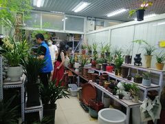 -三旗百汇商品城