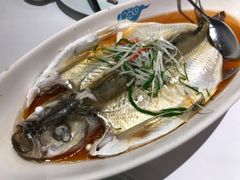 清蒸江南白鱼-翡翠江南(国贸商城店)