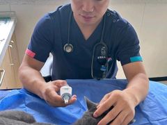 -美联众合动物医院·24h京西诊疗中心
