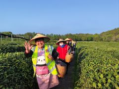 -野蔓果·山野菜(西湖景区·龙井茶田店)