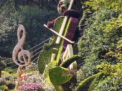 -杭州植物园