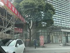 -上海中医药大学附属曙光医院(东部)