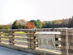 -尚贤河湿地