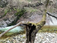 -少华山国家森林公园