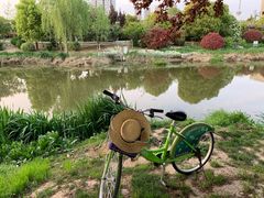 -映像徐州(滨湖店)