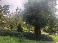 -晓港公园