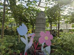 -南宫五洲植物乐园