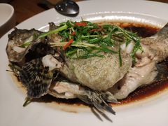 清蒸石斑鱼-泰华海鲜中餐厅(普吉镇店)