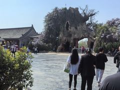 -大槐树寻根祭祖园