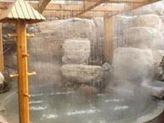 -仁爱团泊湖温泉中心
