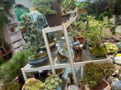 -双季花艺园艺市场(浦东店)