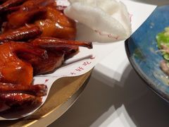 -鸽子侯·家宴·平价海鲜(绿地店)