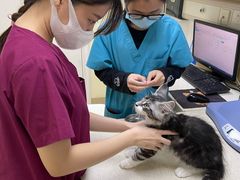 -芭比堂动物医院广州顽皮分院