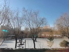 -潇湘甲鱼村(清河店)