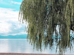 -抚仙湖禄充风景区