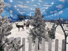 -世界之窗阿尔卑斯冰雪世界