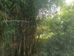 -春兰国宾馆(凤城河风景区老街店)