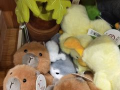 -百新书局(尚悦湾店)