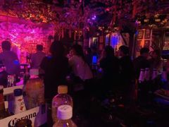 -周庄红庭演艺酒吧