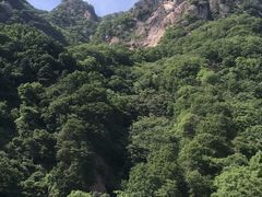 -陕西省红河谷森林公园