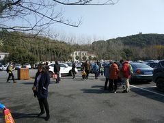 -上海佘山国家森林公园东门地面停车场