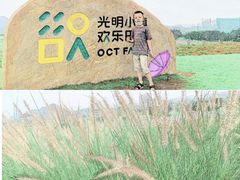 -光明小镇欢乐田园