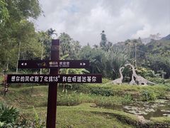 -呀诺达热带雨林