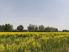 -汉长安城未央宫国家考古遗址公园