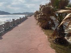 -三姐妹·海鲜大排档