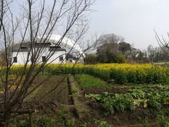 -广富林郊野公园-P6停车场