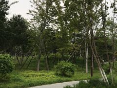 -回龙观体育文化公园