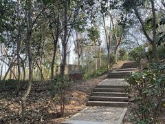 -上海佘山国家森林公园天马山园