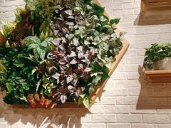 -鑫小城故事·藕汤·家常菜(海林广场店)