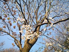 -西北湖绿化广场