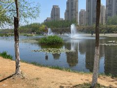 -前关湿地公园