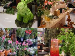 -PlantsEatery·植物食堂(REX春熙店)