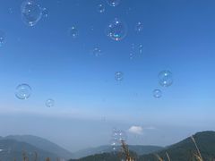 -武陵山森林公园