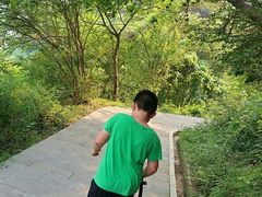-羚羊峡古栈道森林公园
