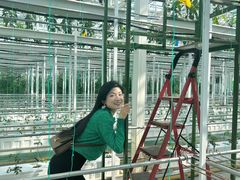 -兰陵国家农业公园