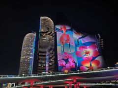-演武大桥观景平台