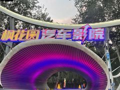 -枫花园汽车电影院(朝阳公园店)