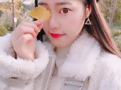 -白鹭湾湿地公园