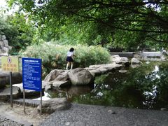 -神仙树公园