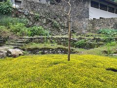 -MOJ coffee(瓯海泽雅水碓坑店)