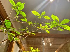-本处·素食·融合料理(南油店)